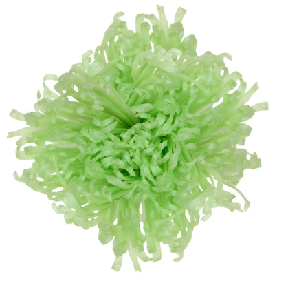 Anastasia mint green