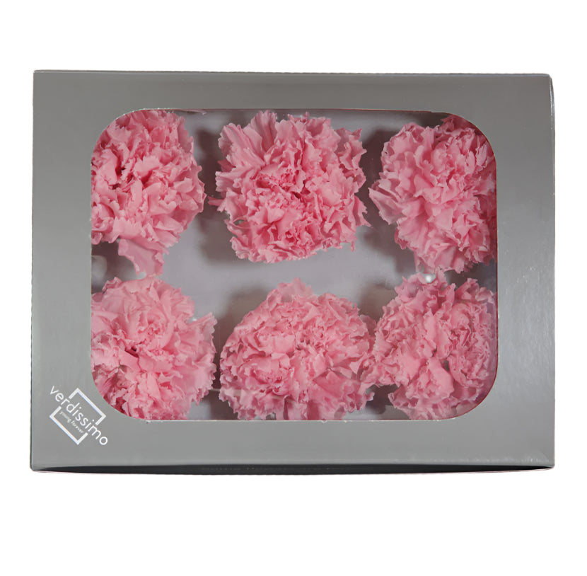 Box of six pink carnations without stems
