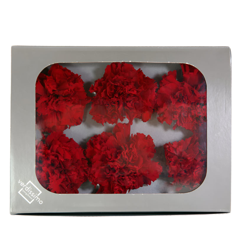 Box with six red carnations without stems