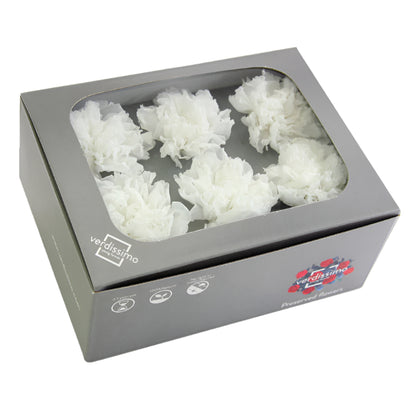 Box with six white carnations without stems