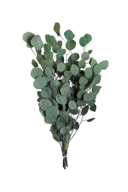 A bunch of artificial eucalyptus stems with round green leaves, tied at the bottom and photographed against a plain warm beige background.