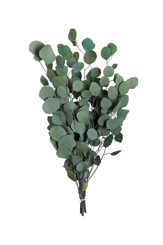 A bunch of artificial eucalyptus stems with round green leaves, tied at the bottom and photographed against a plain warm beige background.