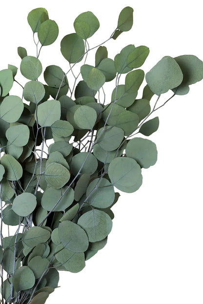 A bunch of artificial eucalyptus branches with round muted green leaves and gray stems, arranged against a solid warm beige background.