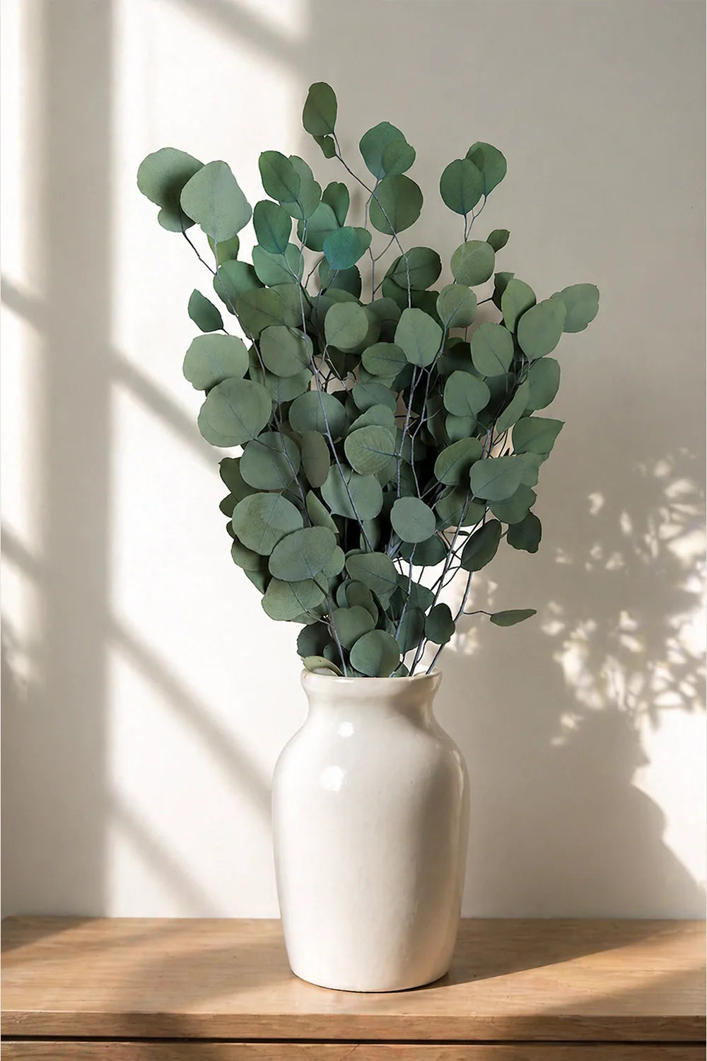 Eucalyptus Populus