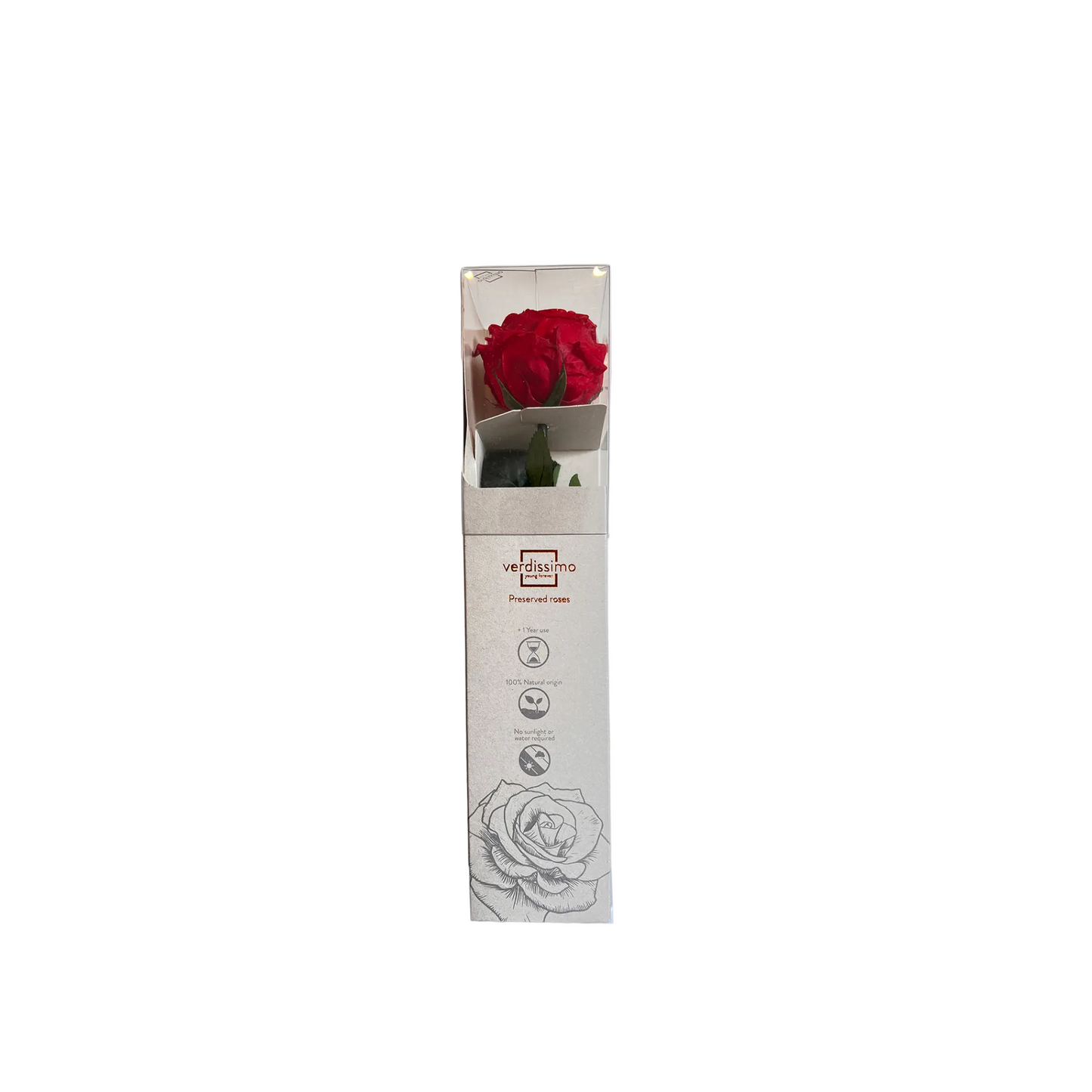 Red rose in a clear plastic box with a visible brand label on a white background