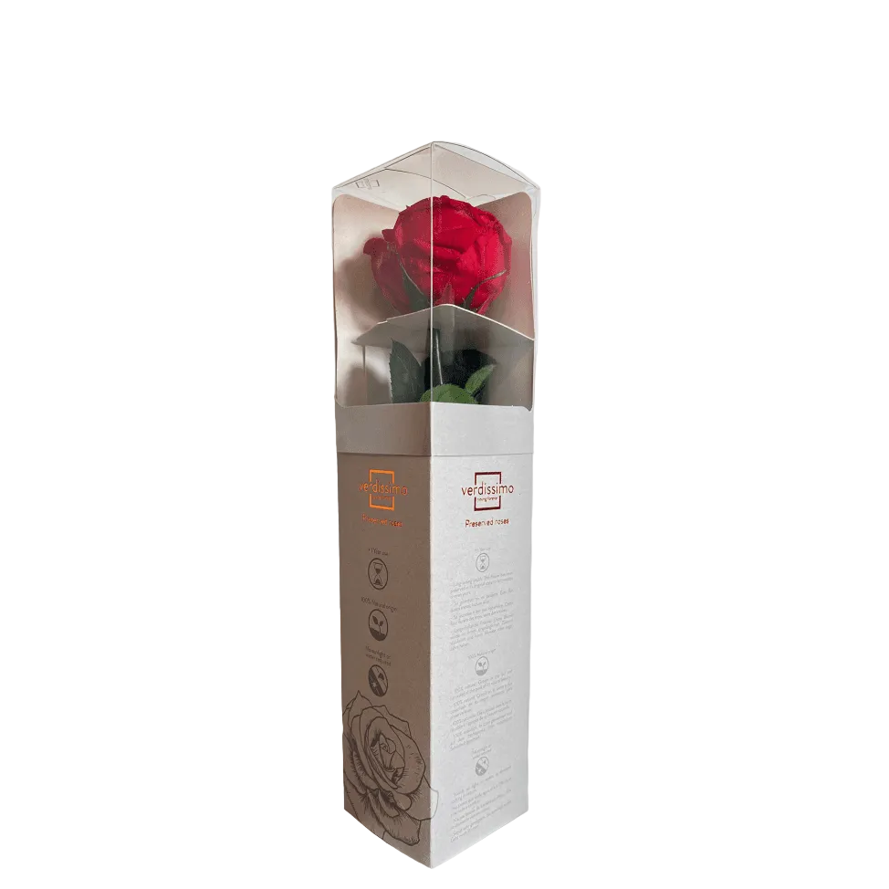 Red rose in a decorative box with visible branding on a light gray background