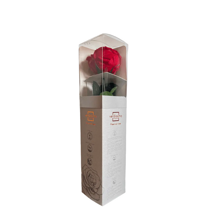 Red rose in a decorative box with visible branding on a light gray background