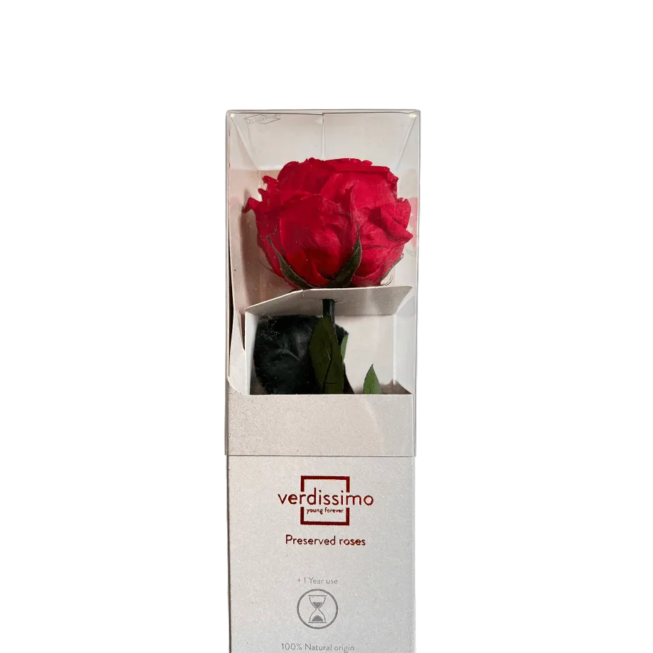Red rose in a box with 'verdissimo' branding on a light gray background