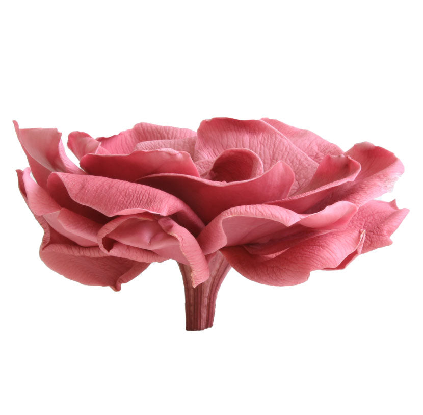 Cherry blossom gardenia head