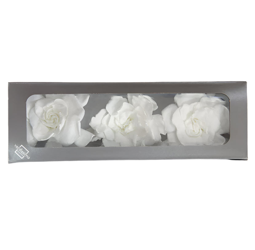 White gardenia head in a box