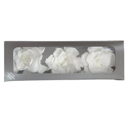 White gardenia head in a box