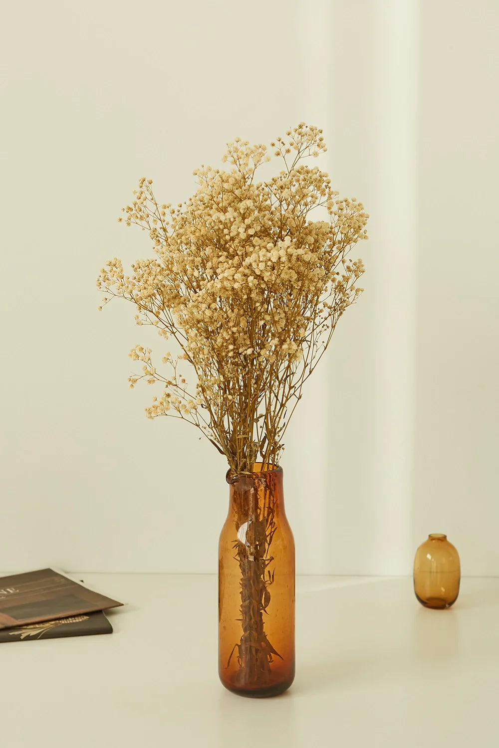 Gypsophila