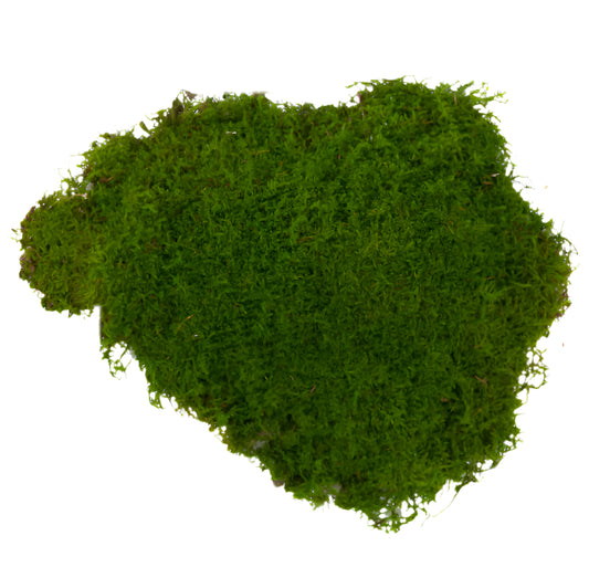 Flat moss