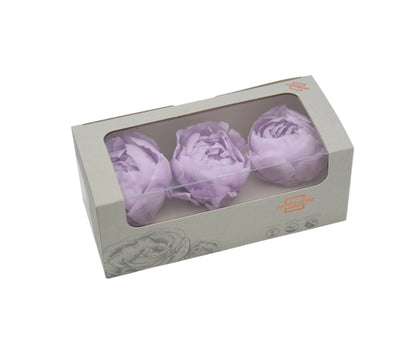 Three lilac peony heads in a box