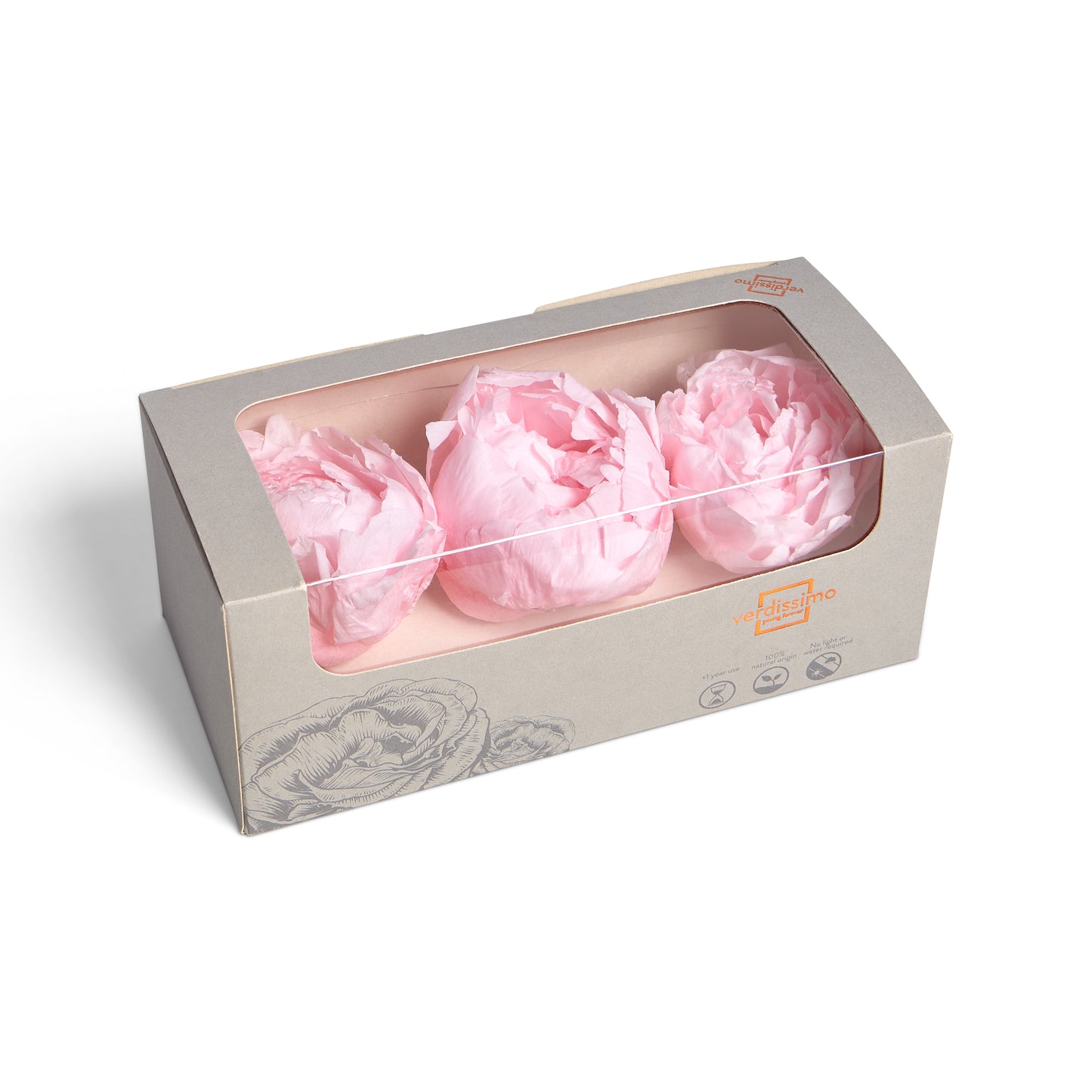 Three pastel pink peony heads in a box