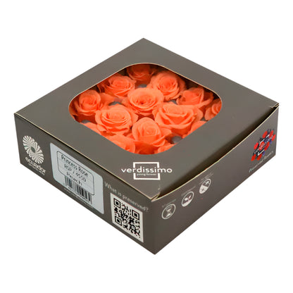 Sixteen peach mini rose heads in a box