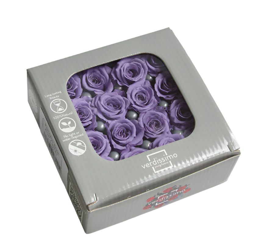 Sixteen soft lilac mini rose heads in a box