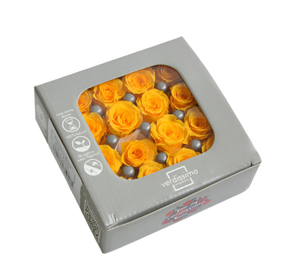 Sixteen warm yellow mini rose heads in a box