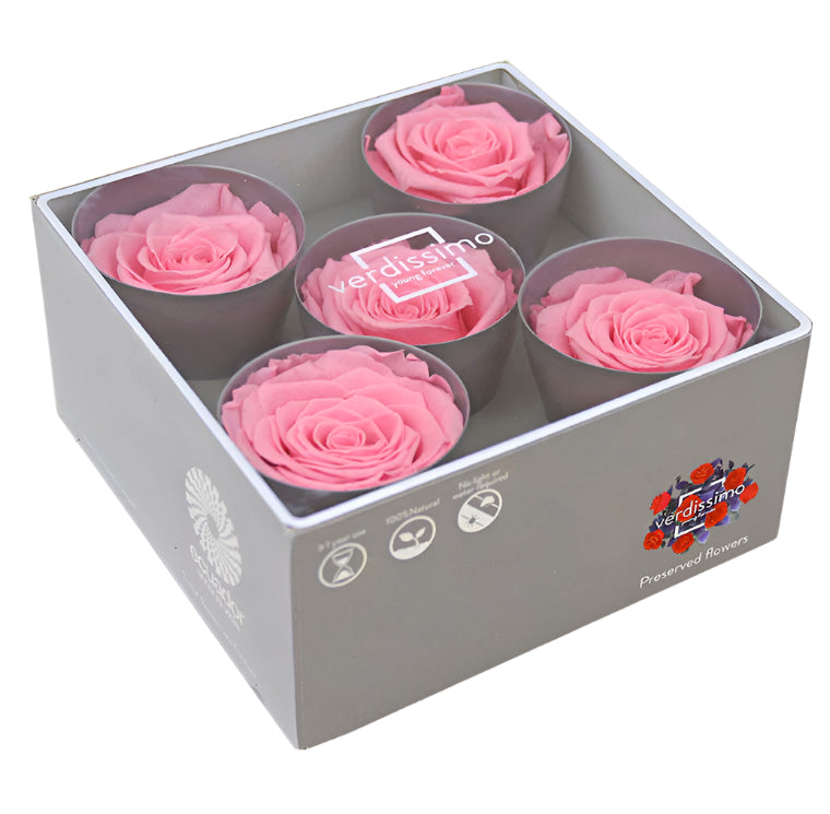 Five pastel pink queen rose heads in a box
