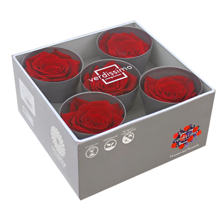 Five red queen rose heads in a box
