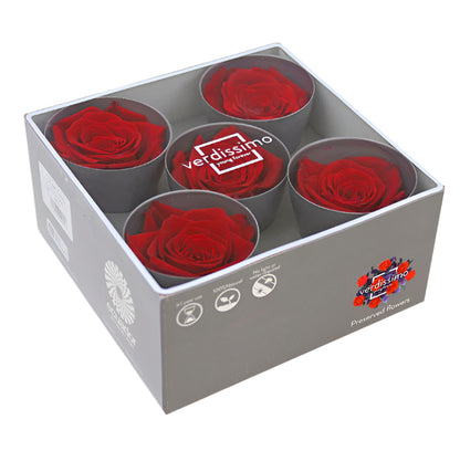 Five red queen rose heads in a box