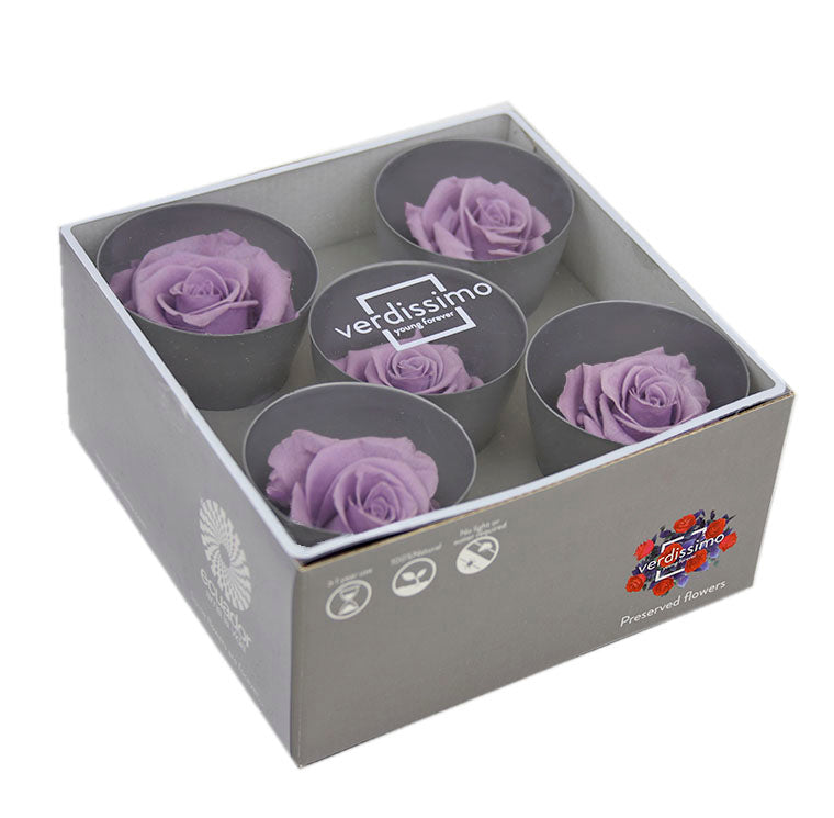 Five soft lilac queen rose heads in a box