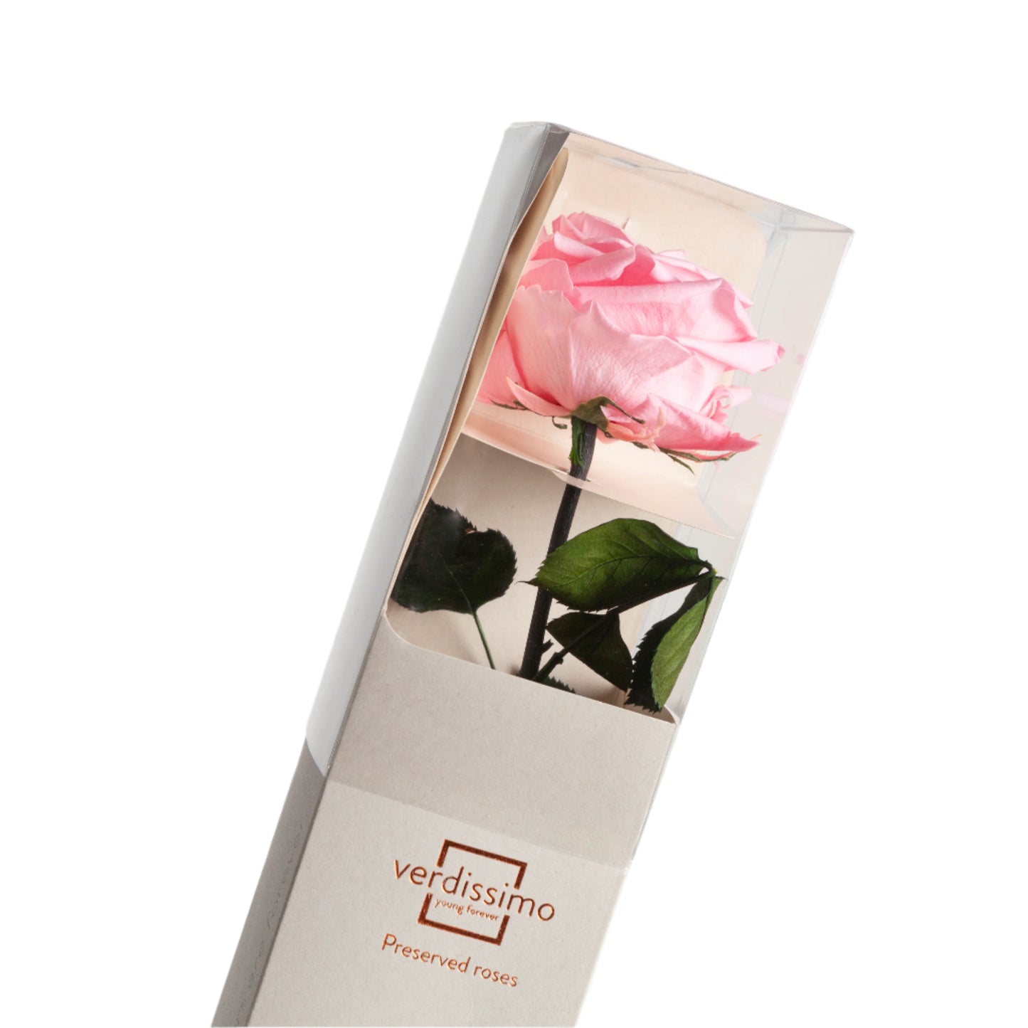 Premium pastel pink rose with stem in a gift box