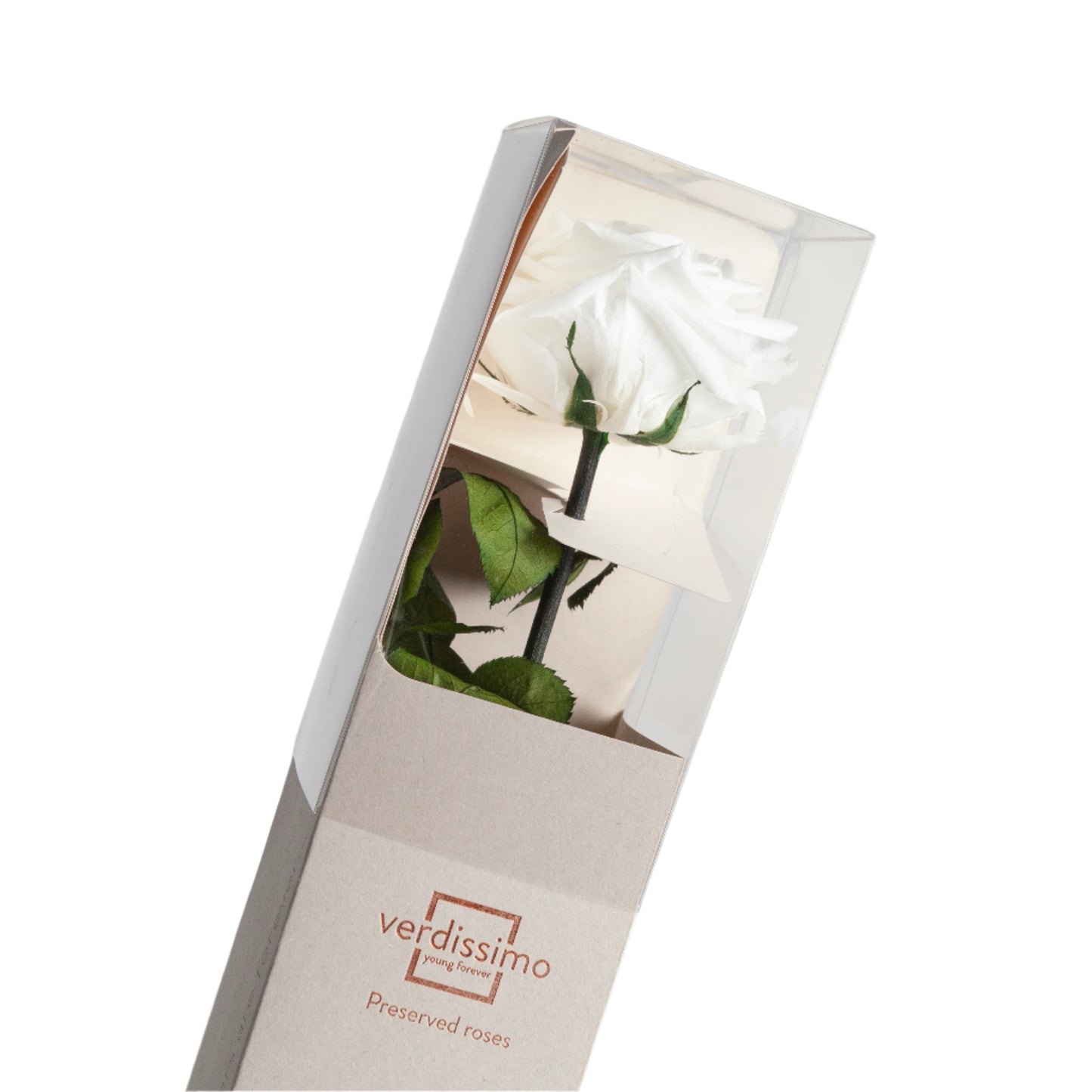 Premium white rose with stem in a gift box