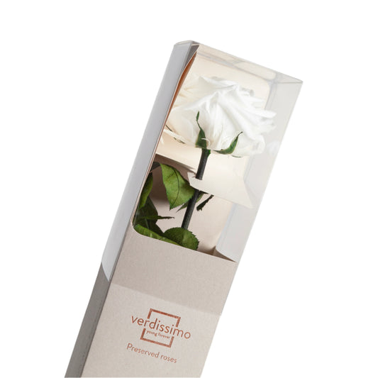 Premium white rose with stem in a gift box