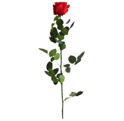Red rose with stem standard 