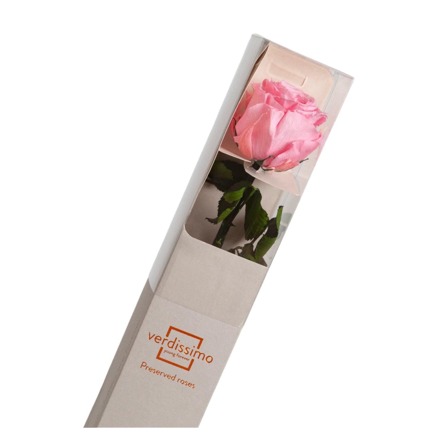 Pastel pink rose with stem in a gift box